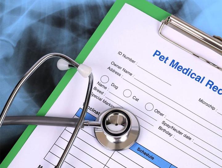 Pet Portal Ladera Ranch Animal Hospital